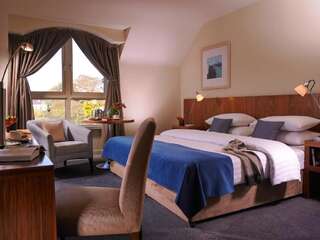 Отель Castleknock Hotel Бланчардстаун Двухместный номер с 1 кроватью-1